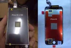 iPhone-SE-vs-iPhone-6S-800x537